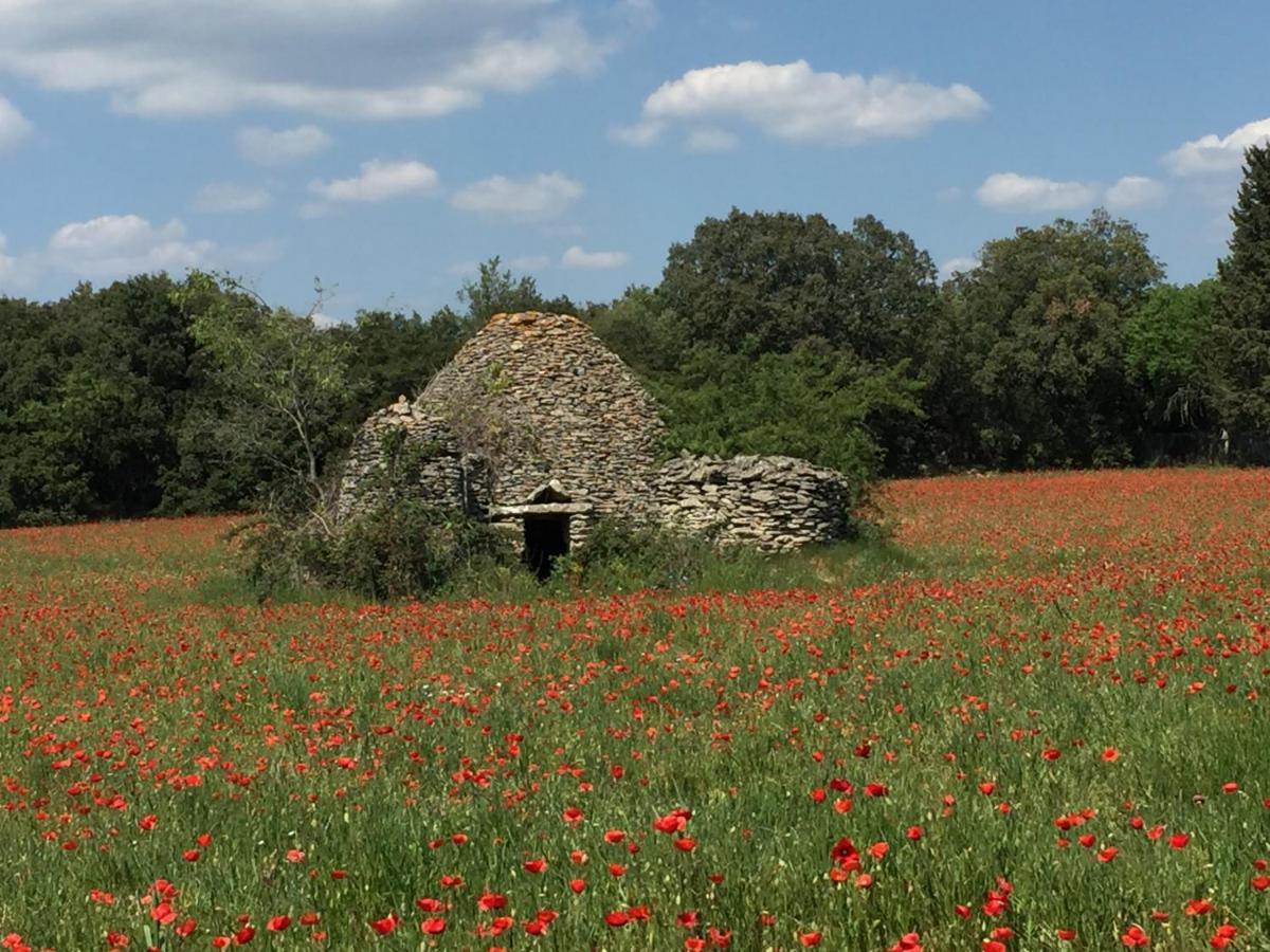 B&B Et Gite D'Ayran Сен-Кентен-ла-Потри Экстерьер фото
